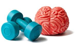 Exercise and Memory---dumbbell and mold of a brain