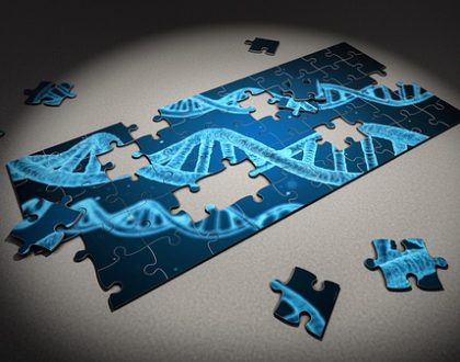 jigsaw puzzle of a double helix (DNA)