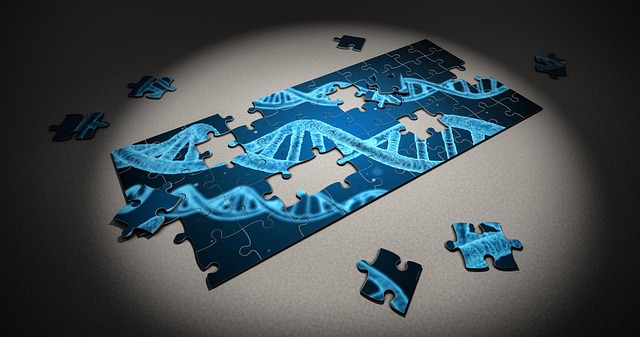 jigsaw puzzle of a double helix (DNA)