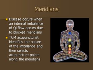 illustration of meridians and nerves in the body