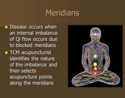 illustration of meridians and nerves in the body