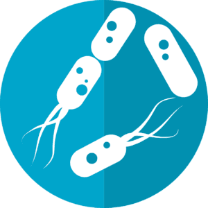 cartoon image of bacteria, 3 of them